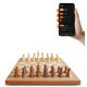 CHESSNUT AIR+