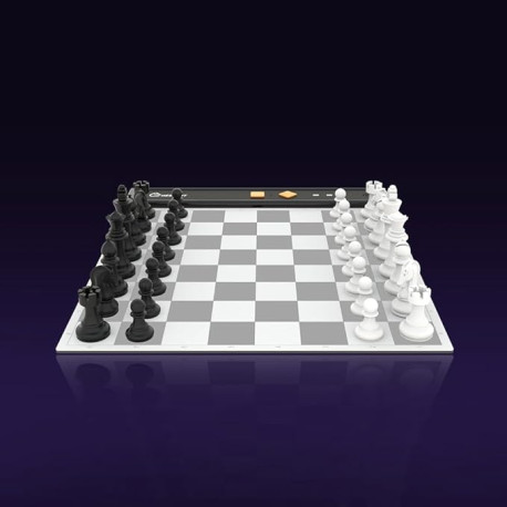CHESSNUT GO