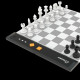 CHESSNUT GO