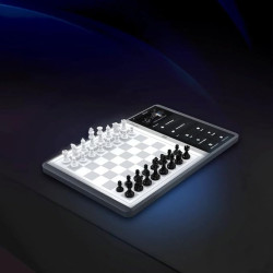 CHESSNUT EVO