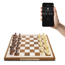 CHESSNUT AIR
